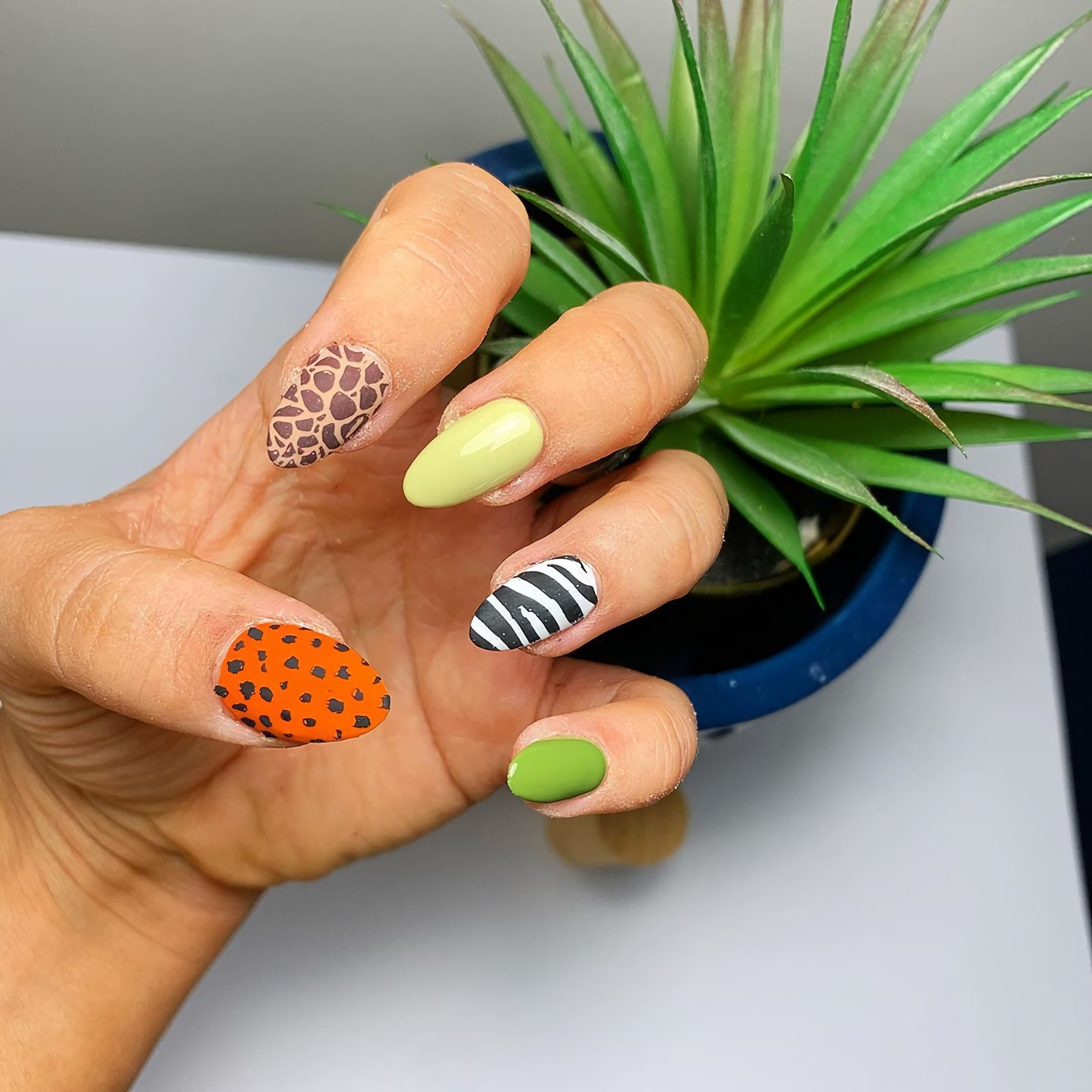 modern manicure for short nails with animal print